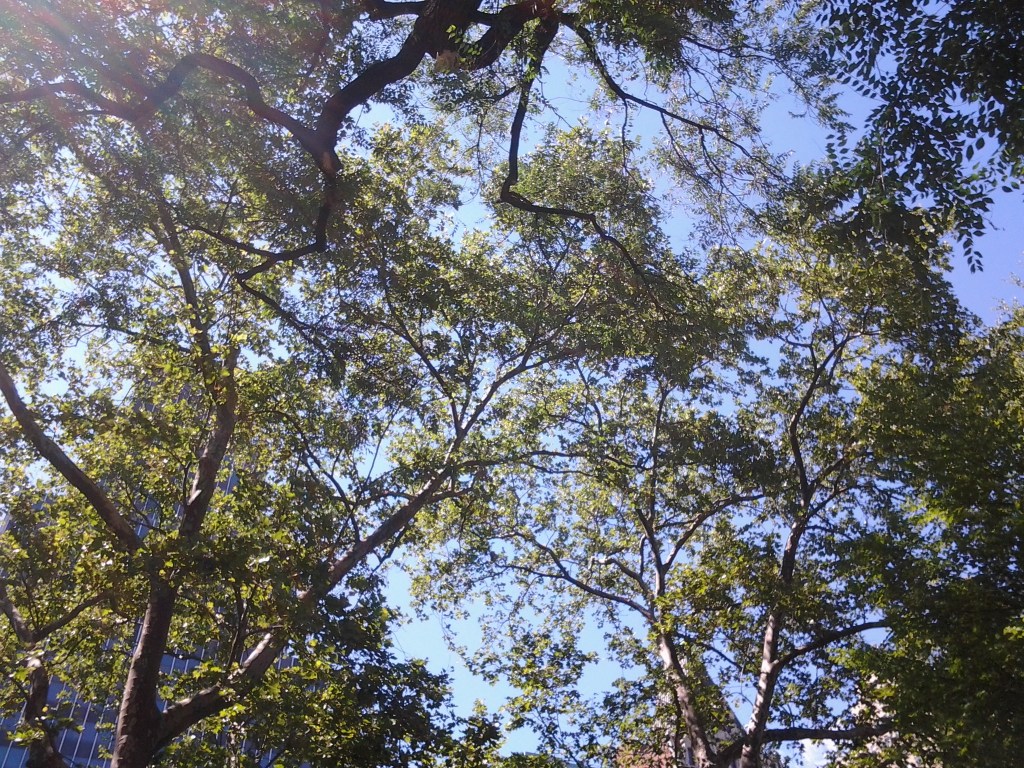 Your Mercy Is New: Resting in&nbsp;God