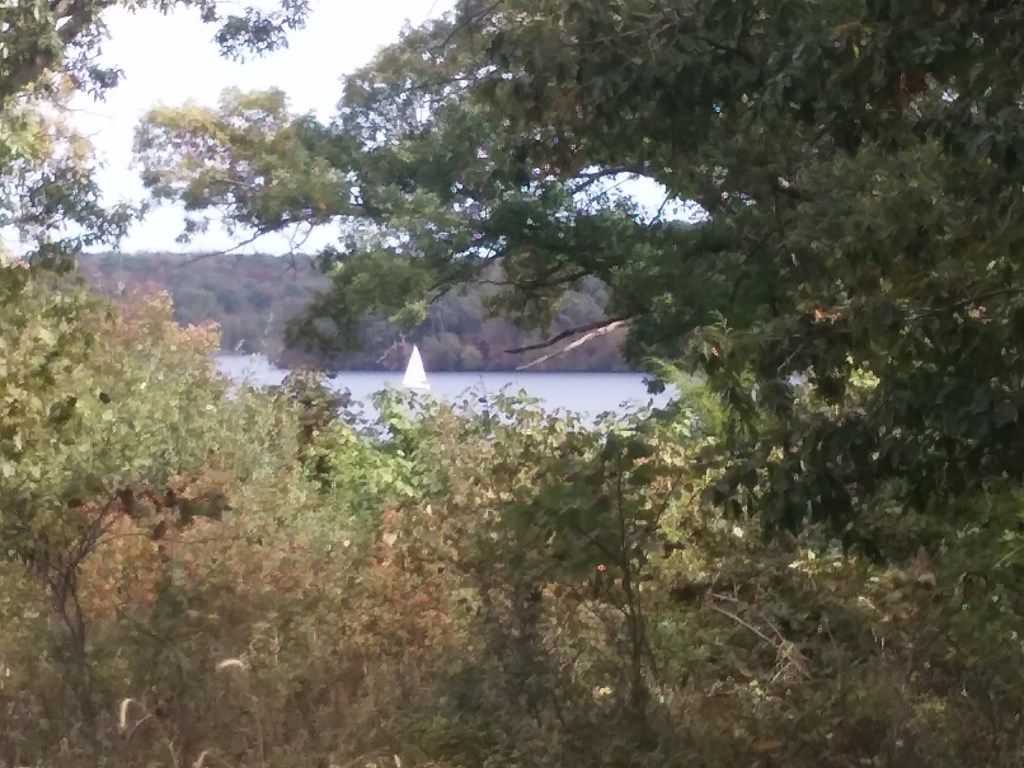 Heartbeats of Heaven