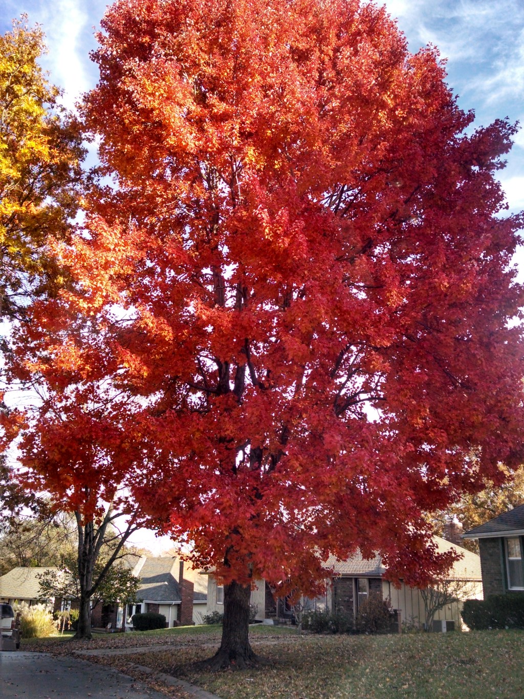 Seven Statements of the&nbsp;Cross