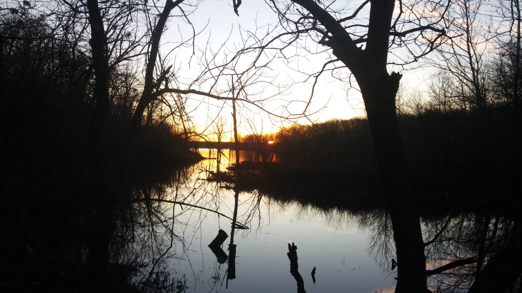 The Spirit of&nbsp;Adoption