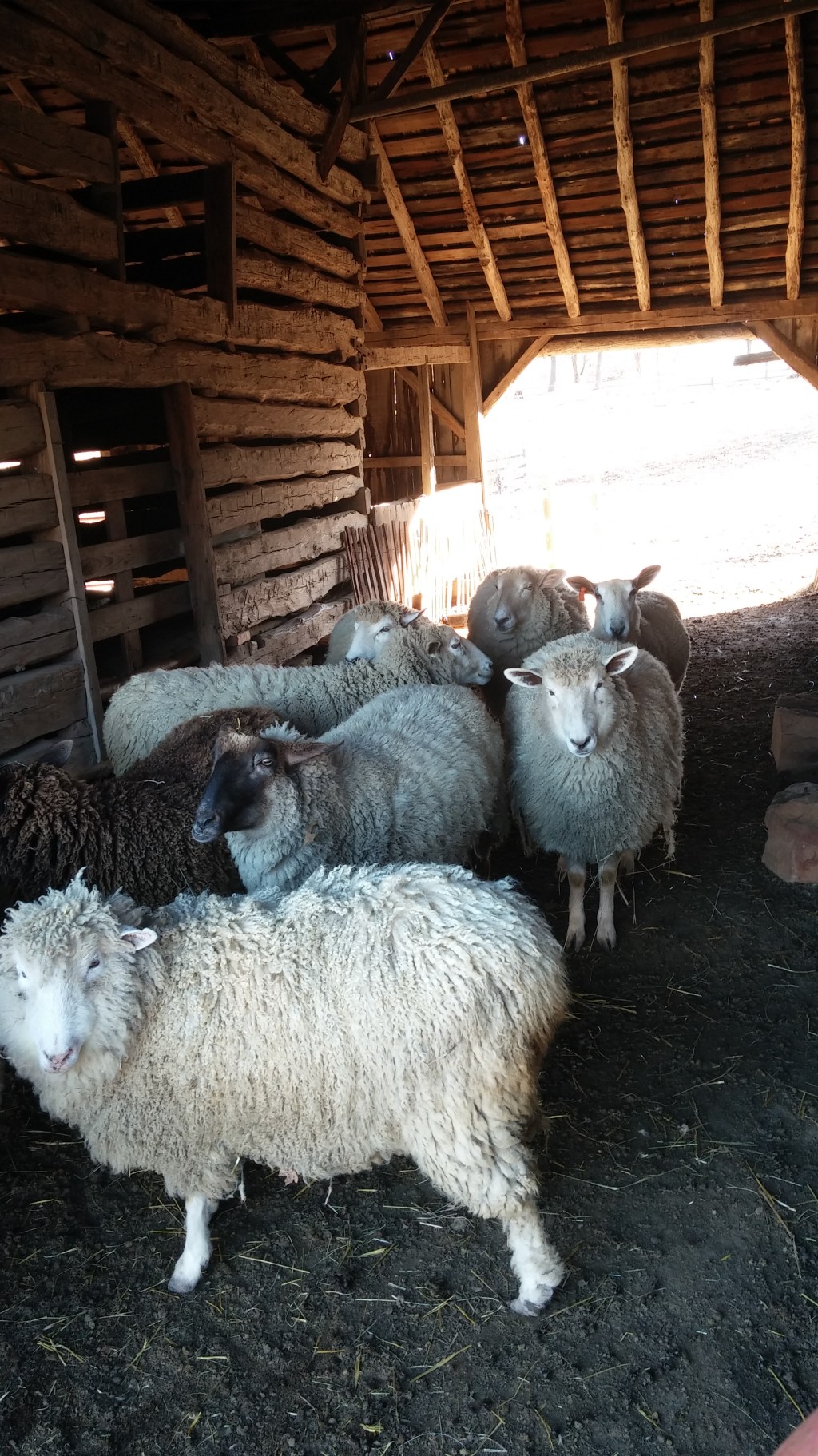 The Purity of Salvation: With Stammering Lips Ep&nbsp;3