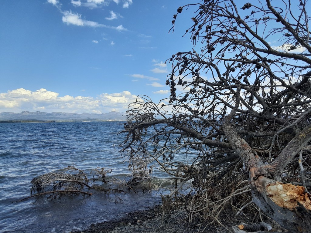 I Live in a&nbsp;Blessing.